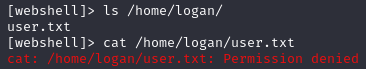 Cat User Flag failed
