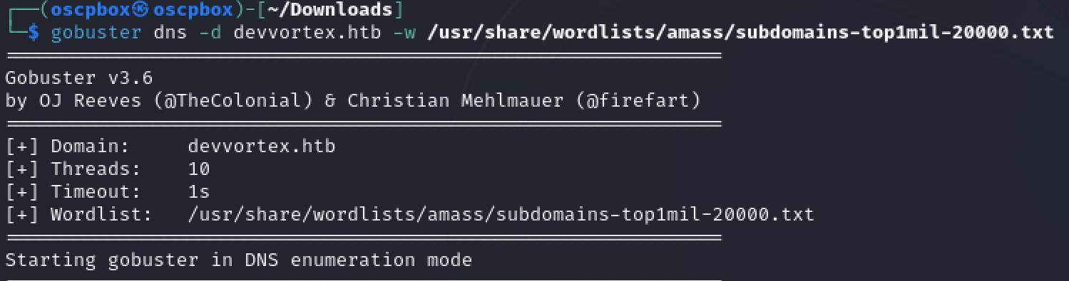 Gobuster DNS