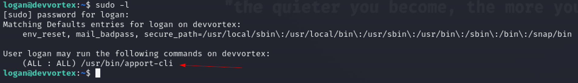 sudo -l command
